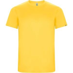 Imola short sleeve men's sports t-shirt